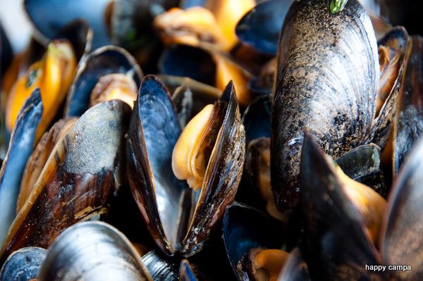 Musslor-2.jpg ht=399