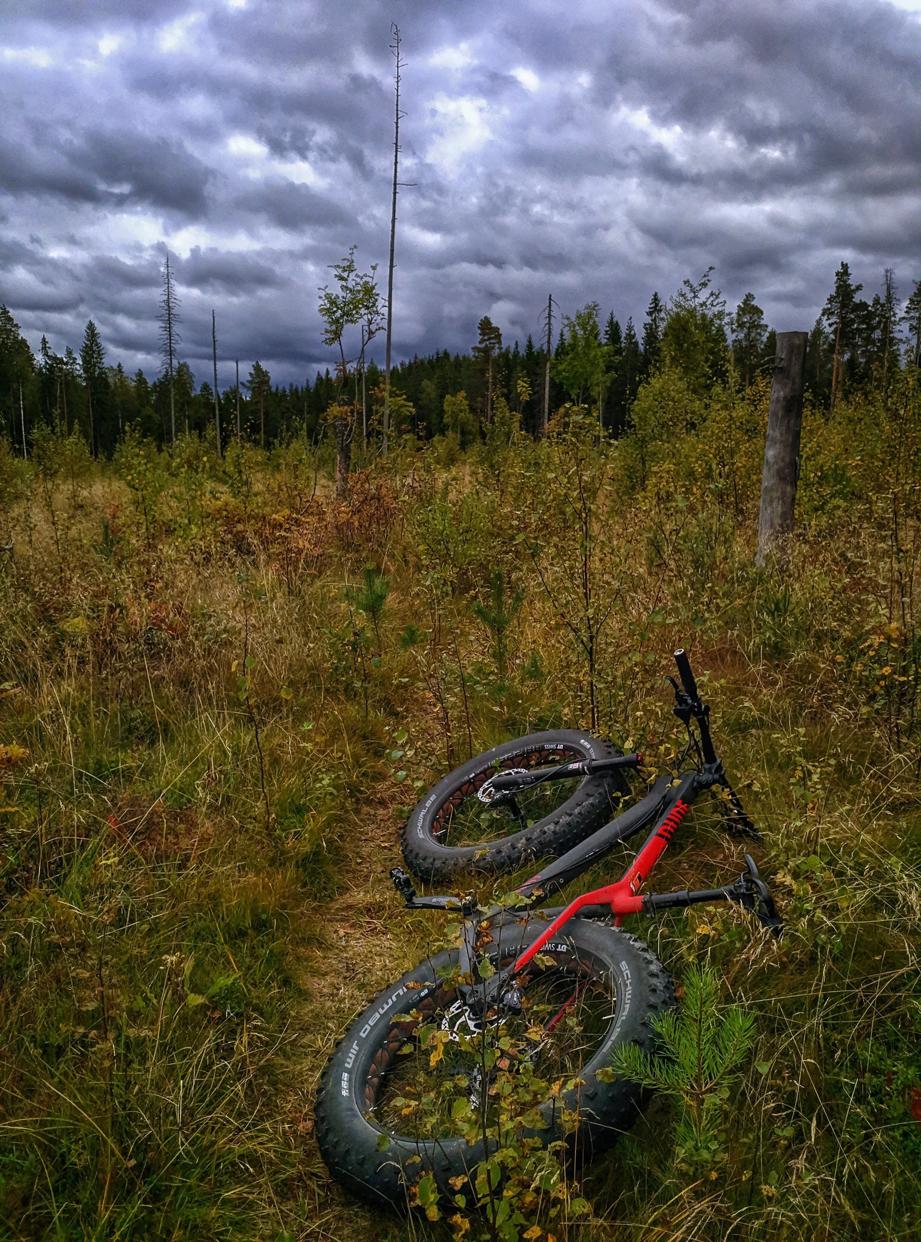 MVIMG_20200911_155159-01.jpeg
