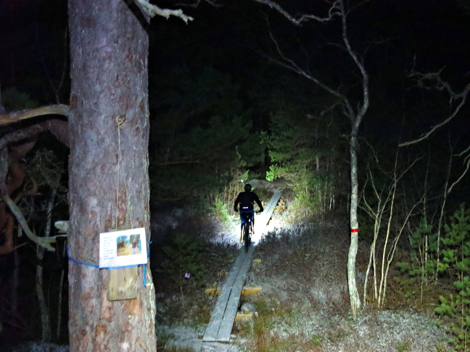 Nsten-08.jpg