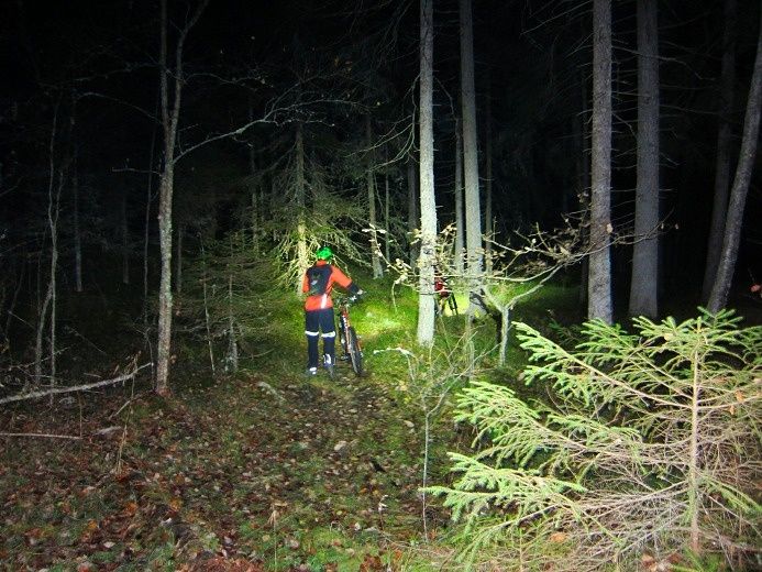 Nsten_29_okt_14.jpg