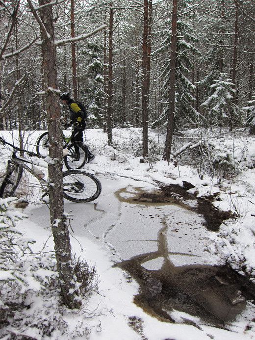 nsten_jan12_09.jpg