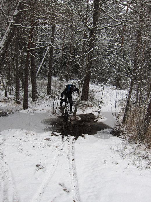 nsten_jan12_10.jpg
