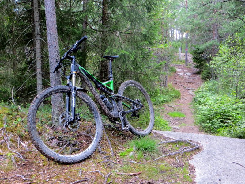 nasten_trail1.JPG
