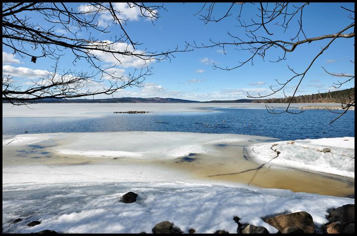 natur.jpg ht=479