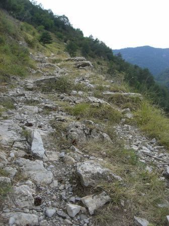 NEDFR1km.jpg ht=448