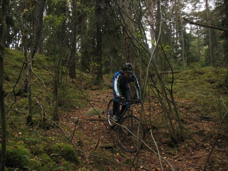 nerforerik29.jpg ht=544