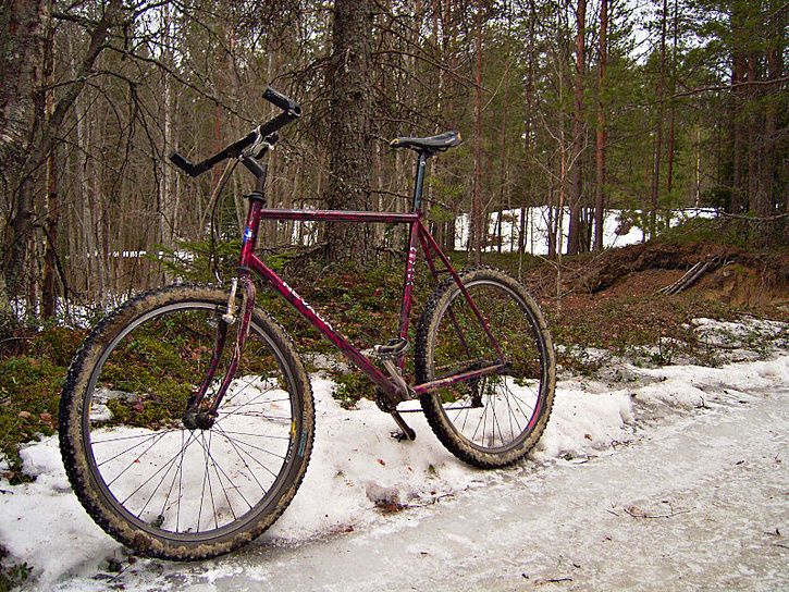 Nevada_SS.jpg ht=544