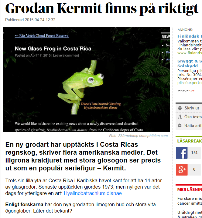newKermitthefrog.png