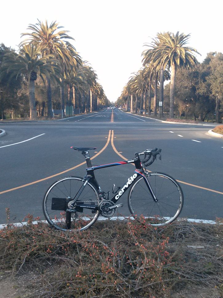 newbike.jpg