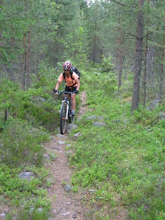 nf14.jpg