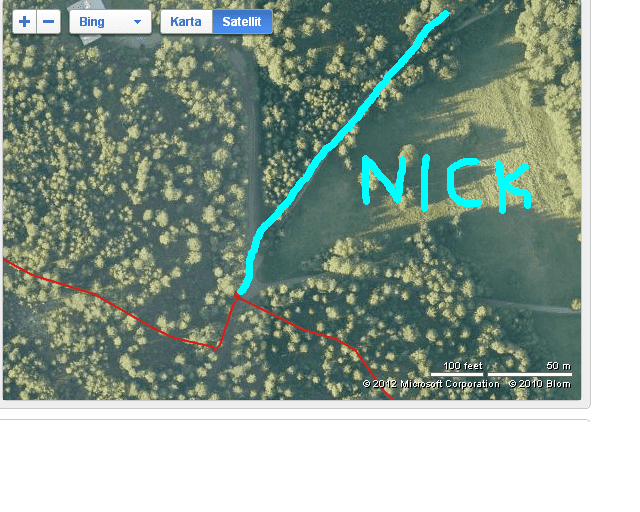 nick_fel.PNG