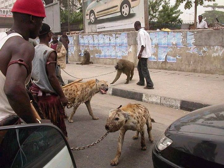 nigerians6.jpg