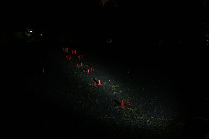 NightOwl_steg1.jpg