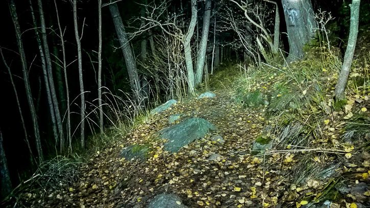 Nightrider5of11.jpg