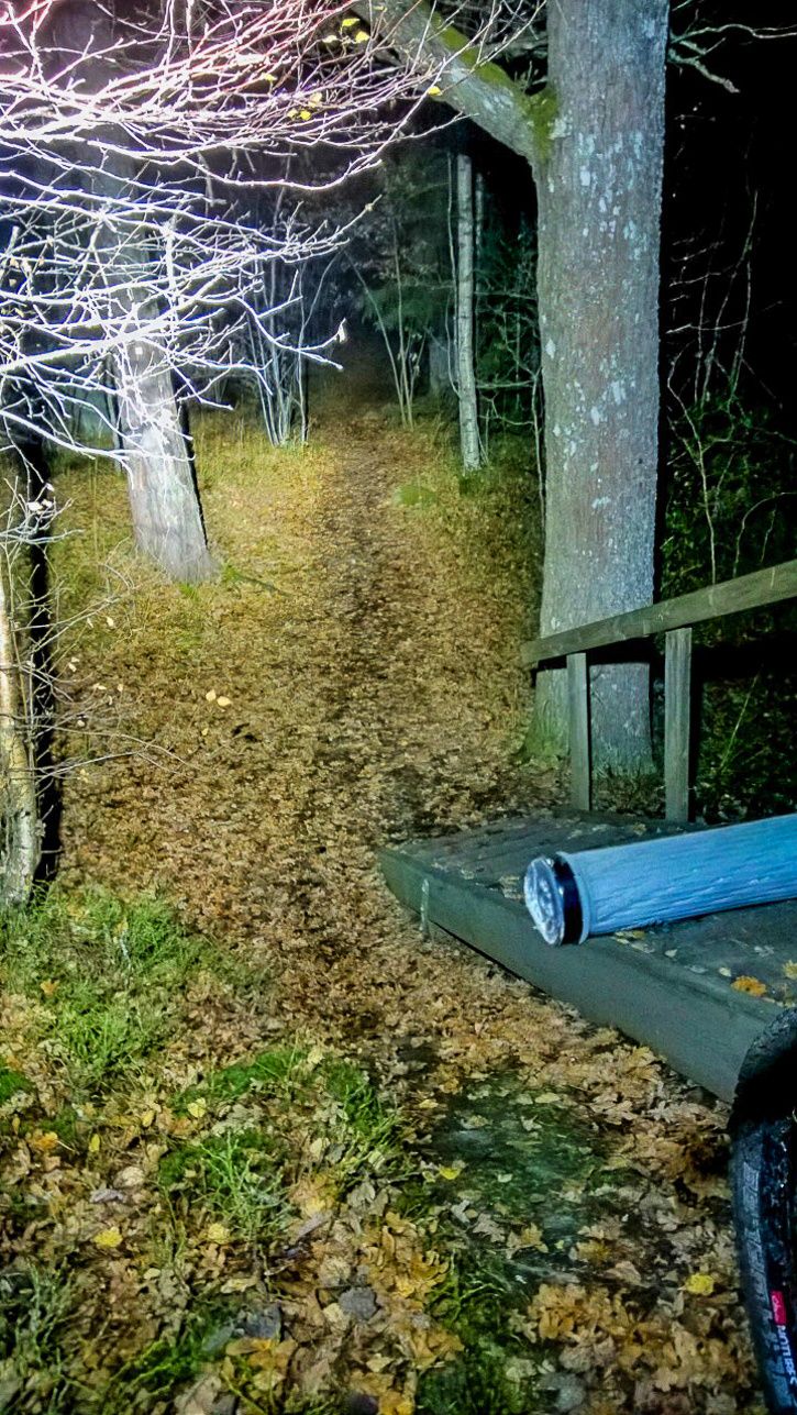 Nightrider7of11.jpg