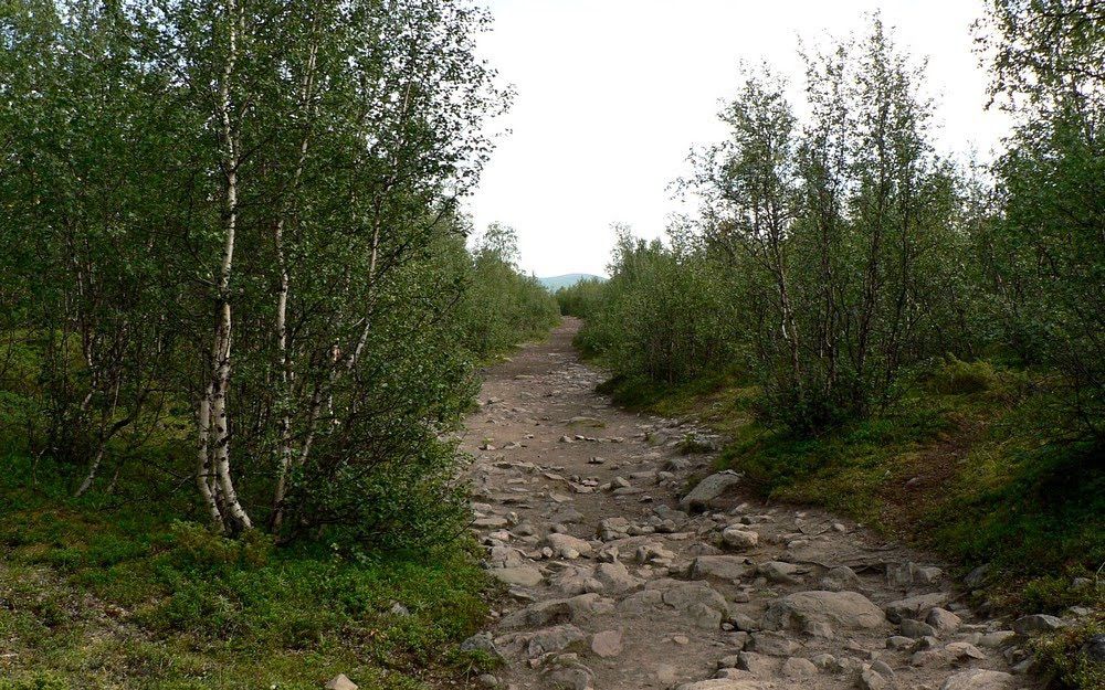 Nikkaluokta.JPG