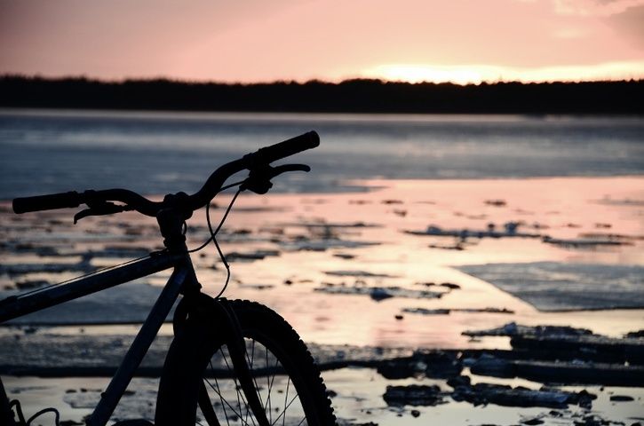 nikon16011800x530.jpg