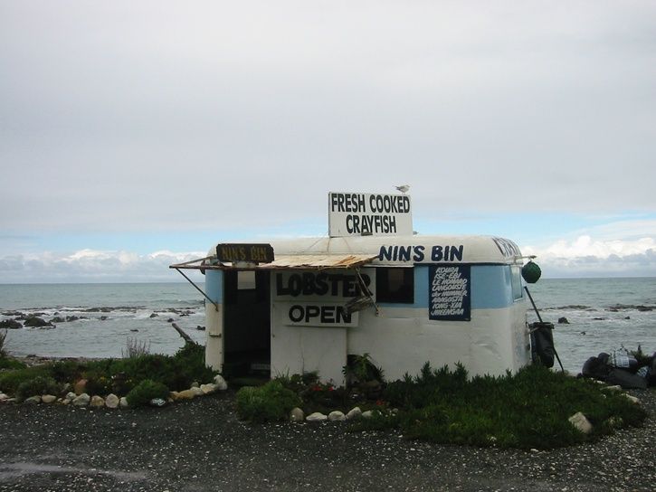 NinÂsLobsterBin.JPG ht=544