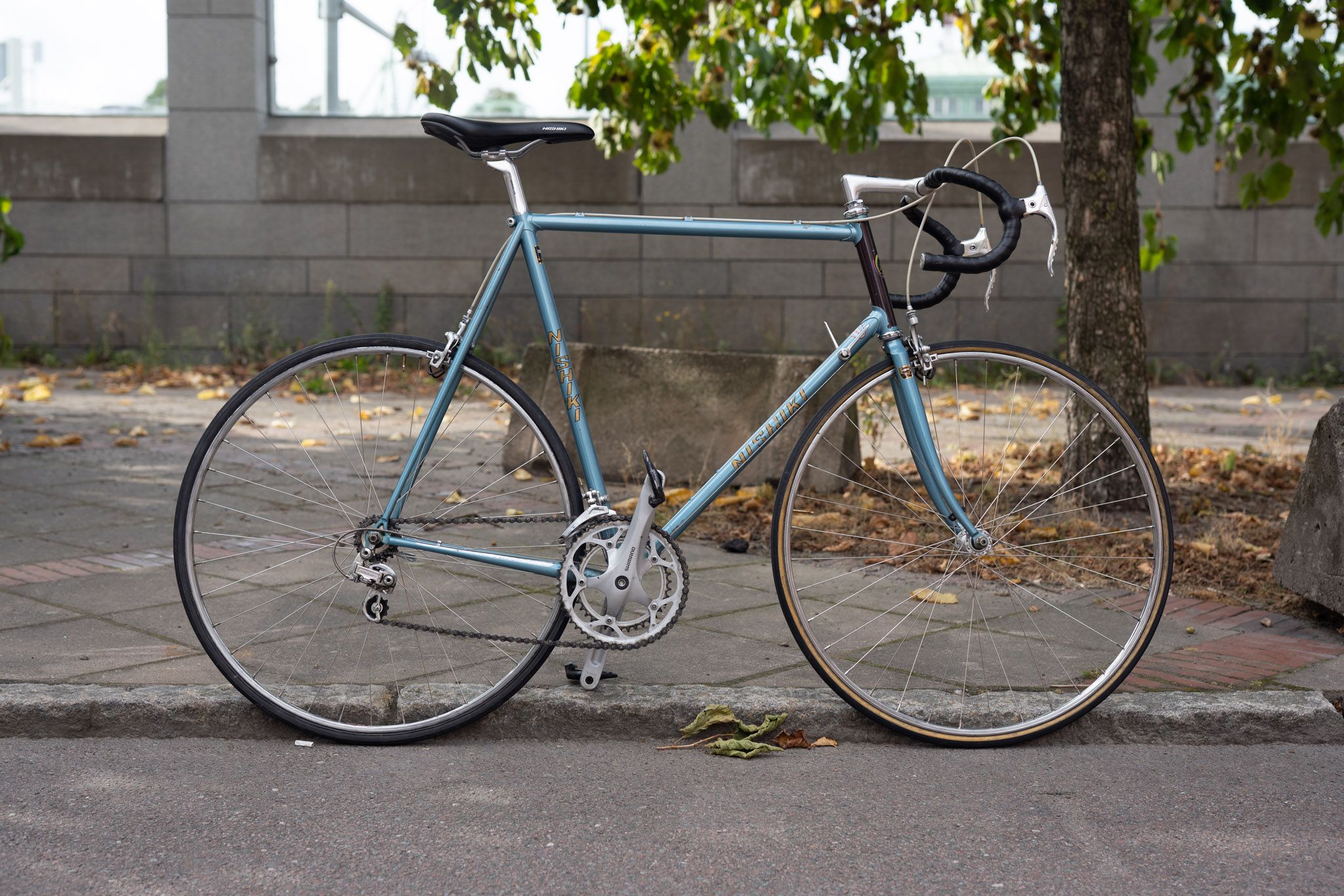 Nishiki Olympic champion-1.jpg