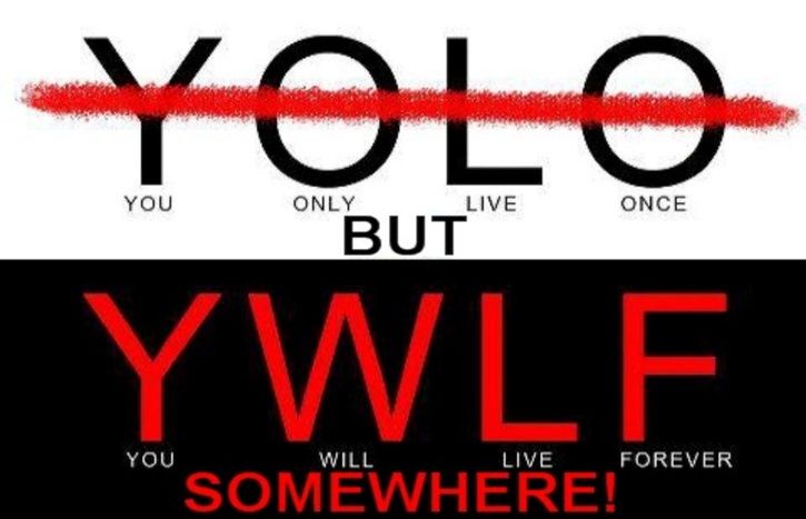 NOYOLOButYWLF.jpg