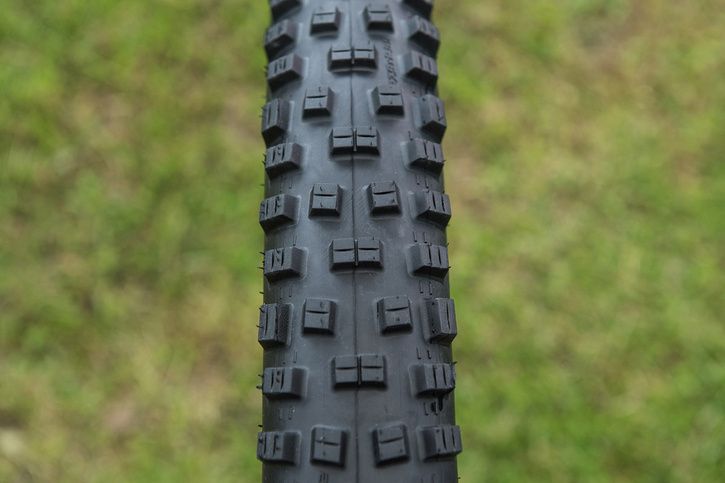 nobby-nic-2015-4.jpg