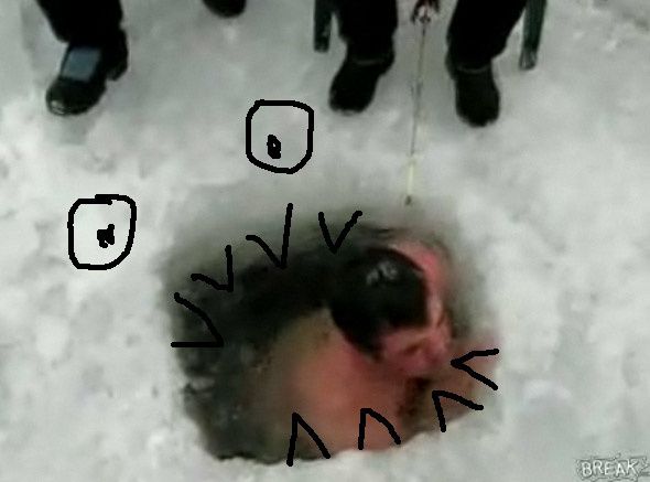 nomnomnom.jpg ht=437