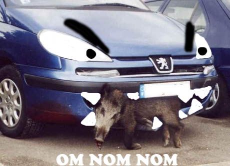 nomnomRoadKill.jpg ht=333