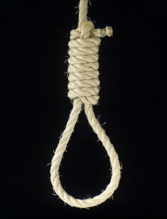 noose.jpg ht=725