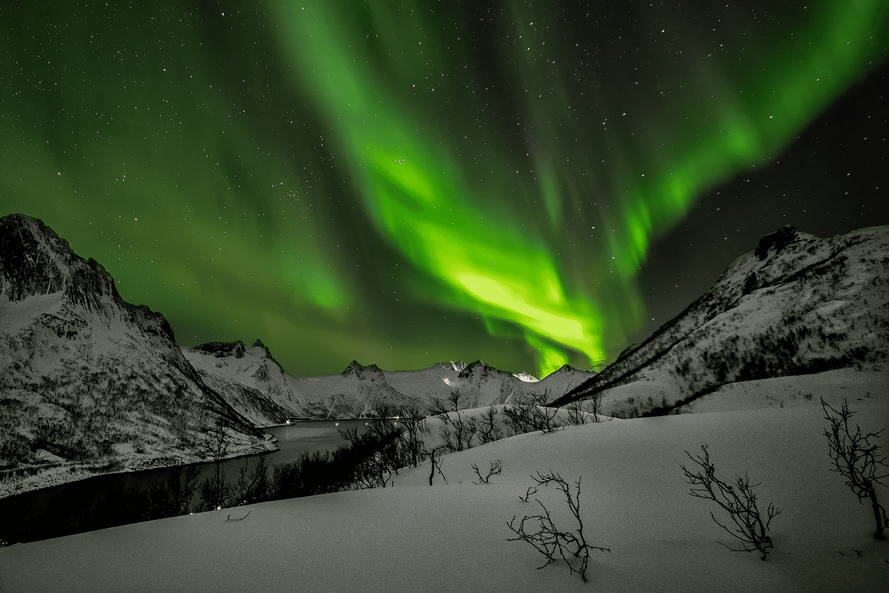 Nordlys3-2437.png
