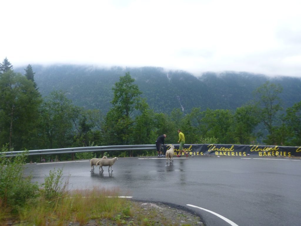 Norge_9.jpg