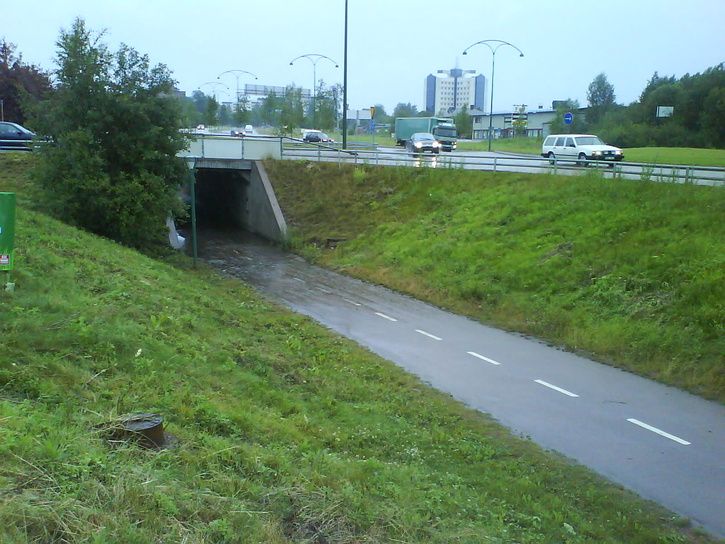 Normalt.JPG ht=544