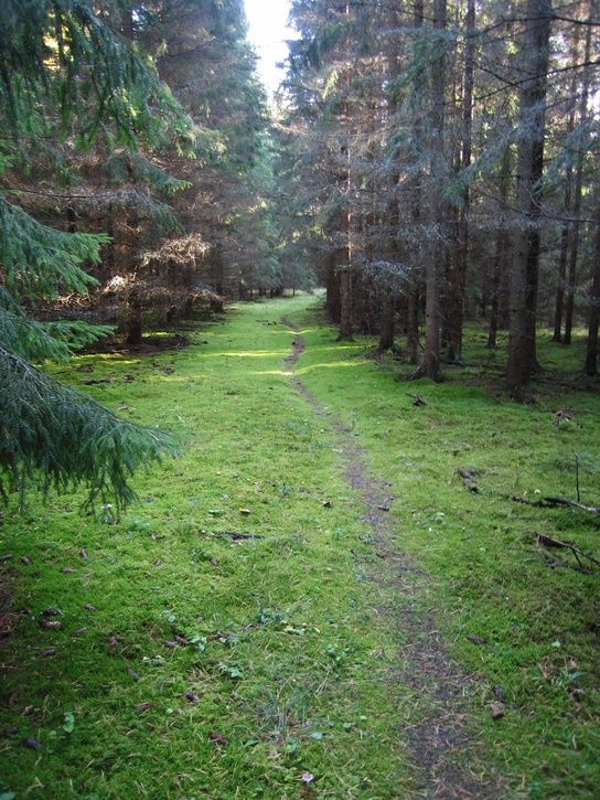 Norrtorpkopia.jpg ht=725