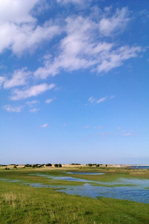 norsholmen.jpg ht=725