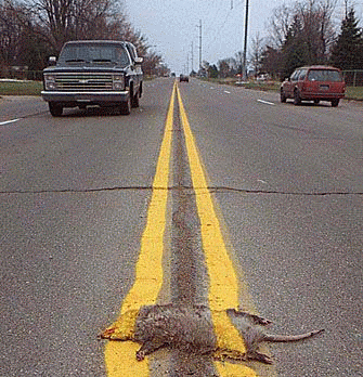 not-my-job-cropped1.gif