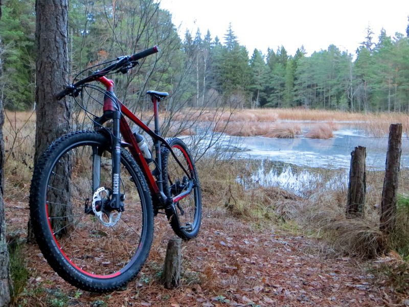 novbike_dammen.JPG