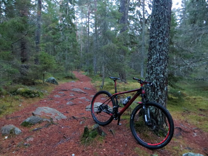 novbike_Darken.JPG