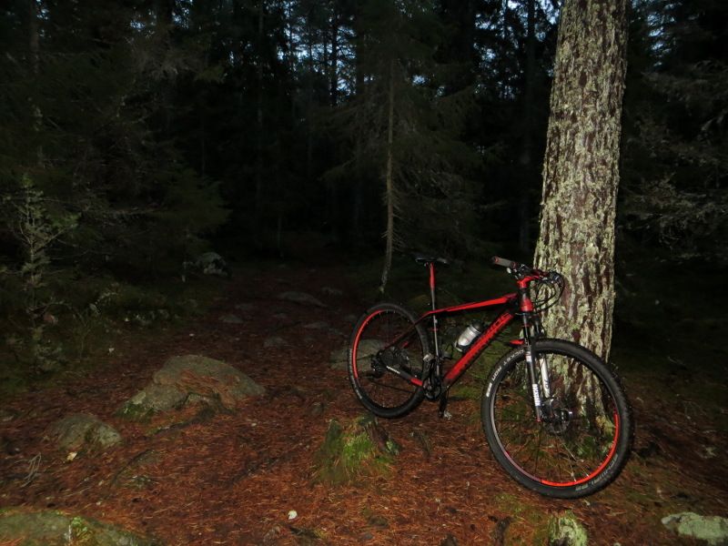 novbike_darken2.JPG