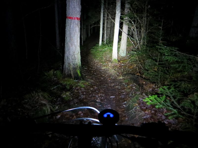 novbike_light2.JPG