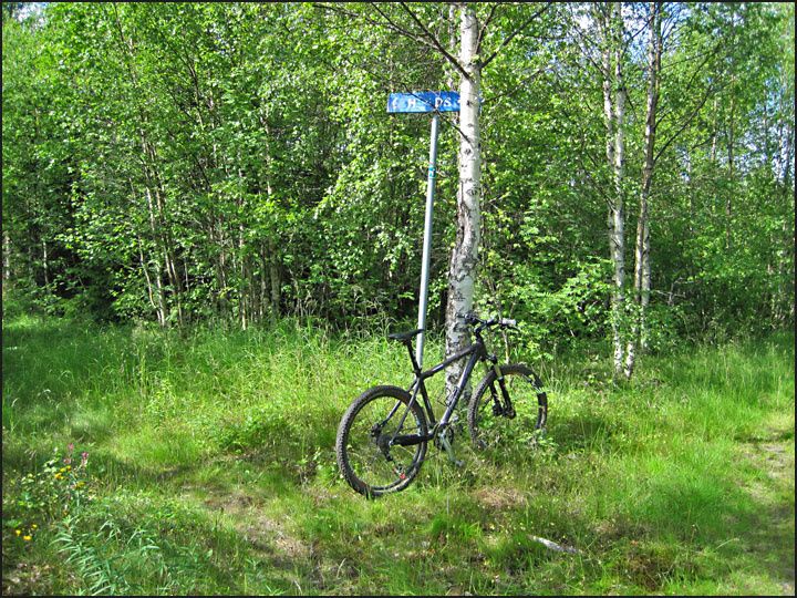 nugronskardet.jpg ht=540