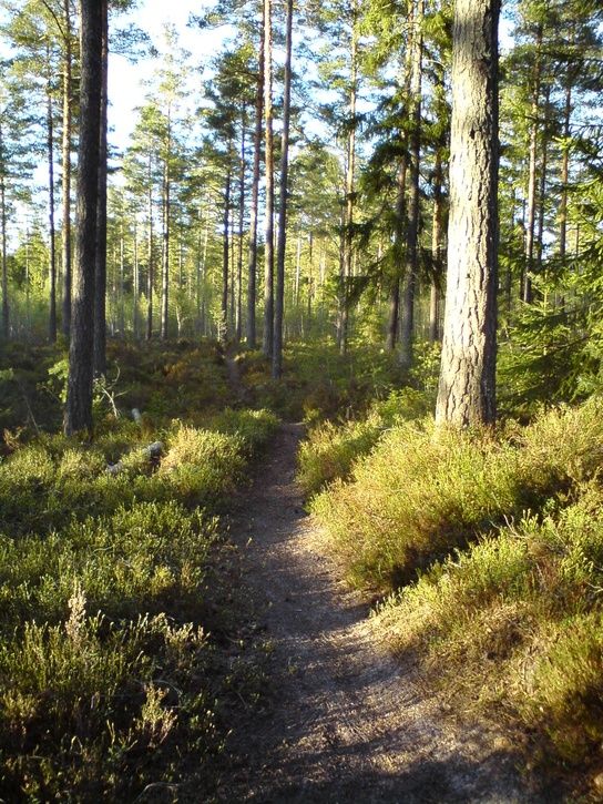 Nybild.JPG ht=725