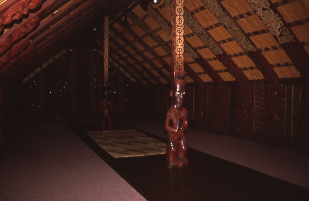 nz9.jpg