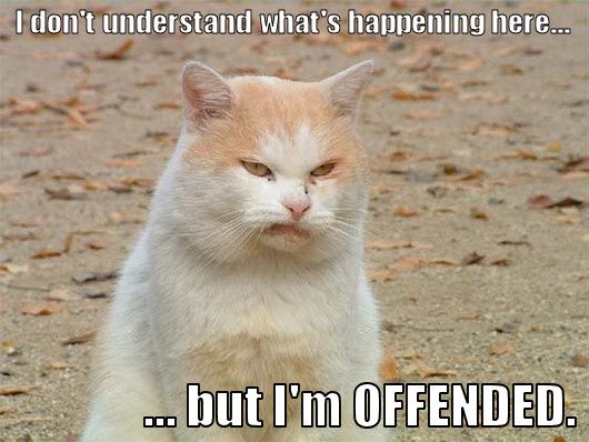 offended_trollcat1.jpg ht=398