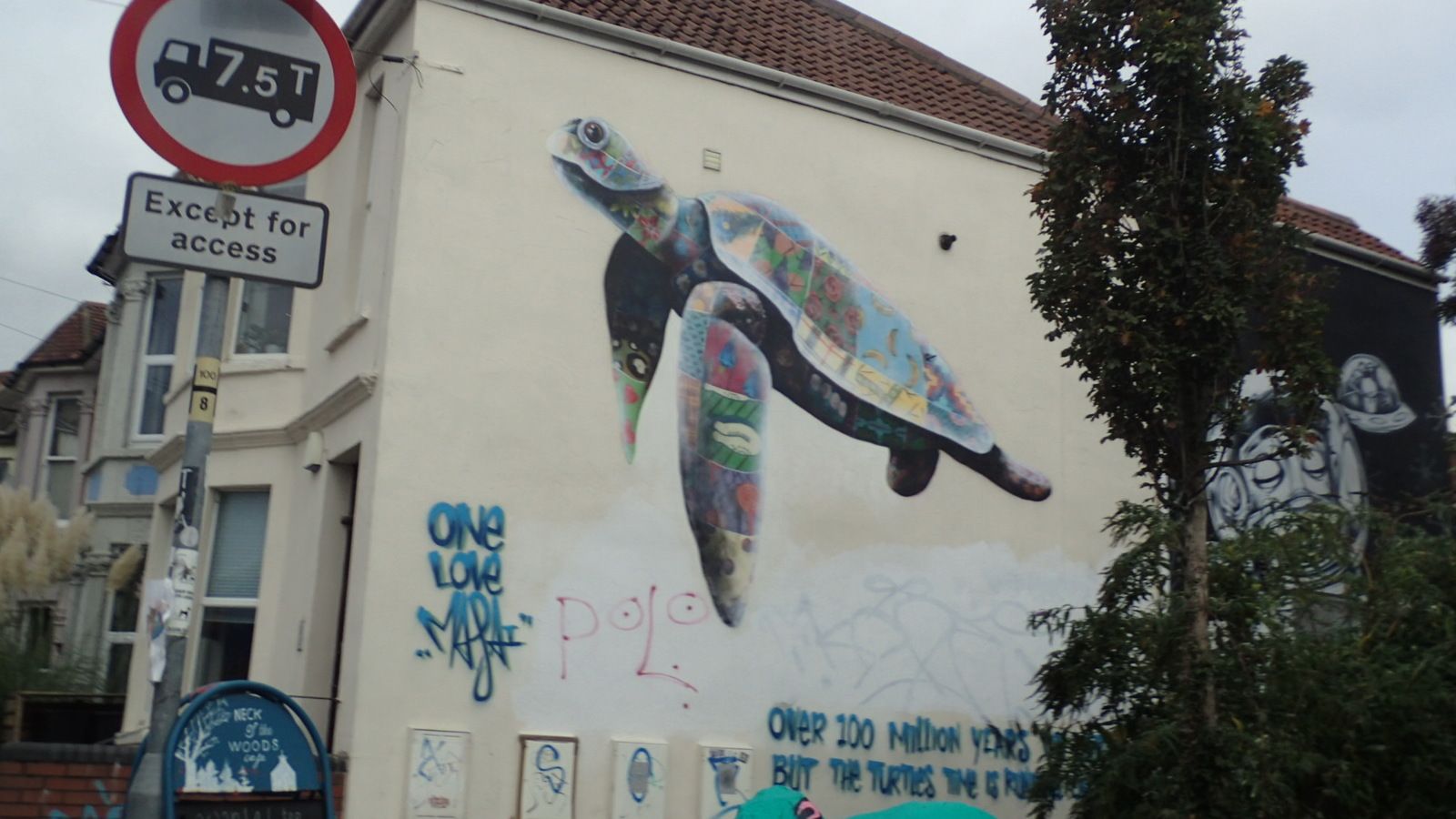 OI000053.jpg