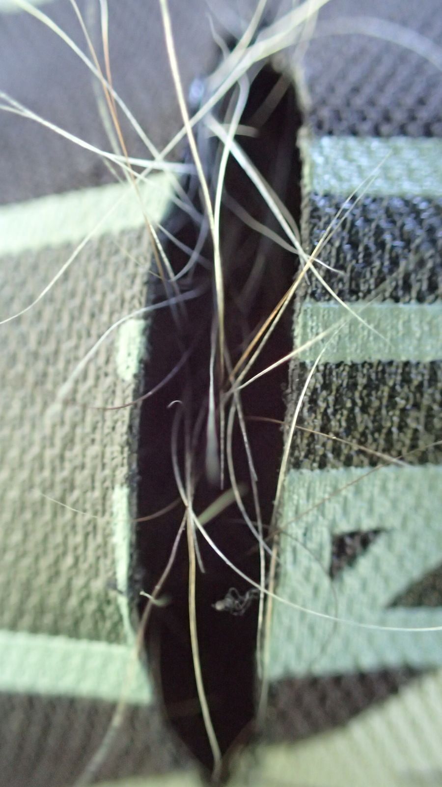 OI000428.jpg