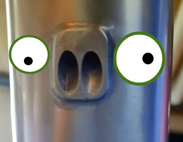 oink.webp