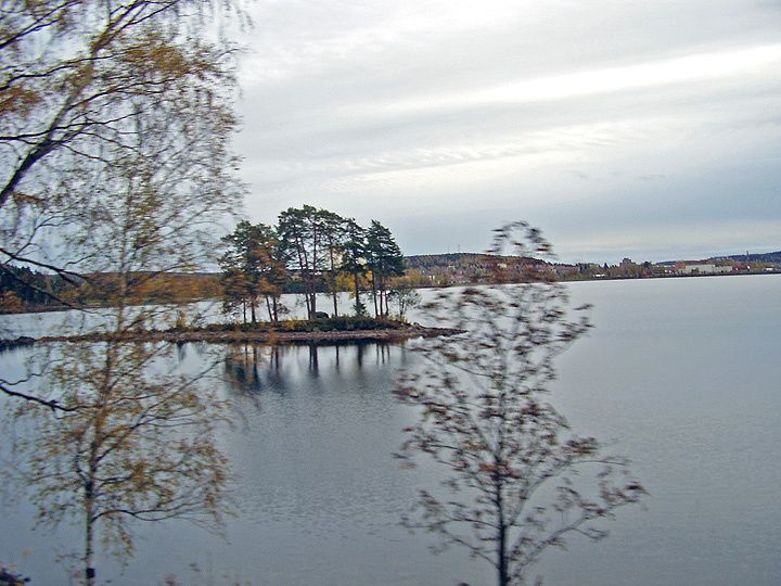OKT02.jpg ht=540