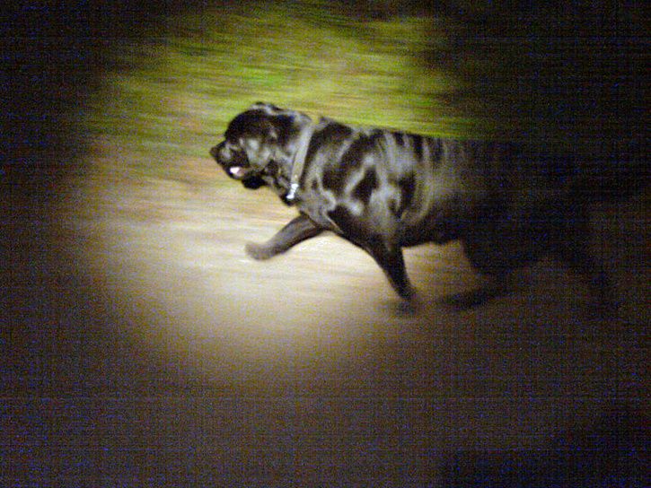 Oktobernatt06.jpg ht=544