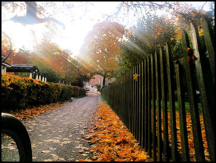 oktoberpendling.jpg