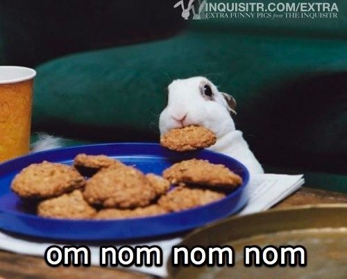 om-nom-nom-nom1.jpg ht=403