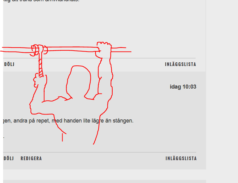 one_arm_pullups.PNG